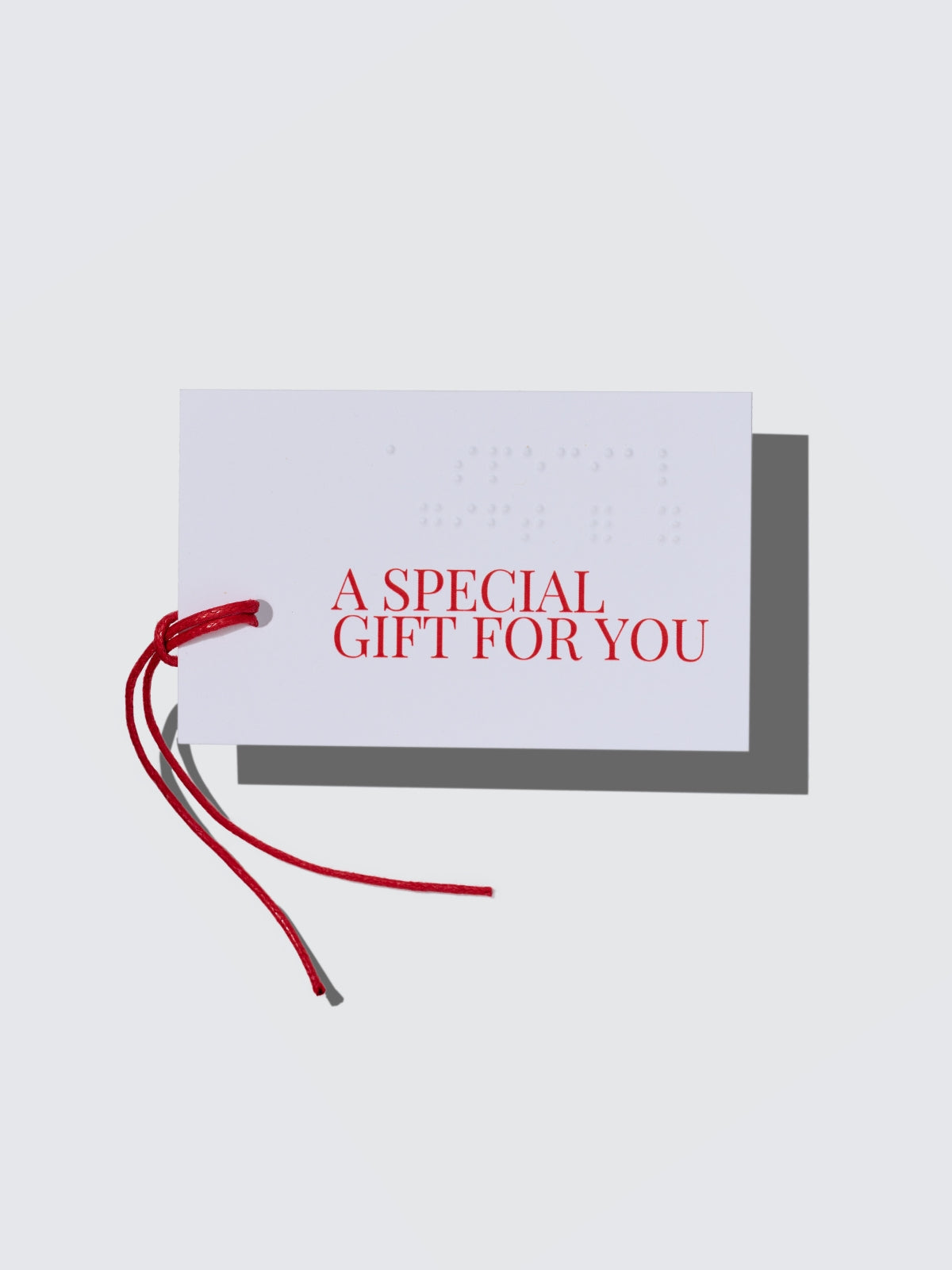 Two Blind Brothers - Braille Gift Tag all