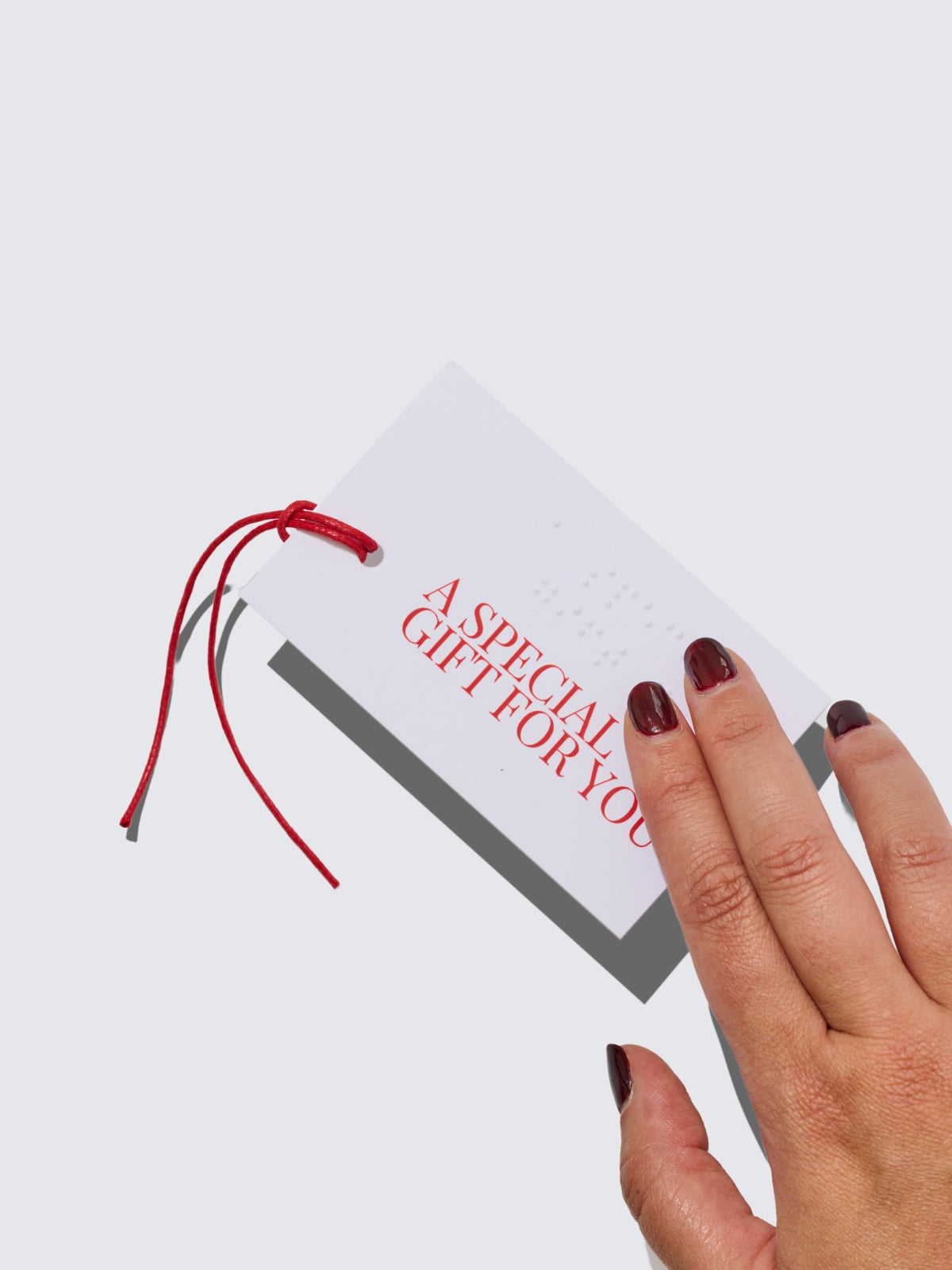 Two Blind Brothers - Braille Gift Tag all
