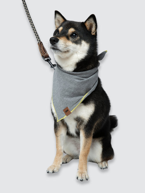 Dog Bandana in S