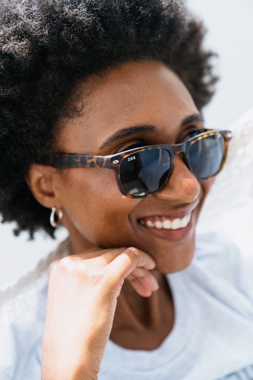 Cavalier Sunglasses in Tortoise Matte